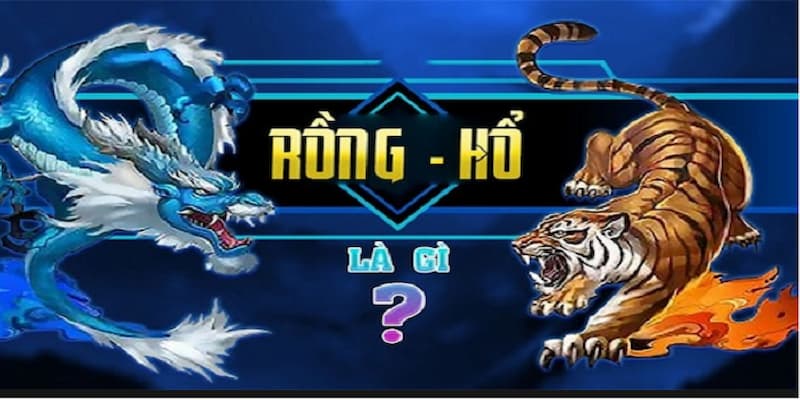 Rồng hổ Net88 Cách Chơi Rồng Hổ Net88