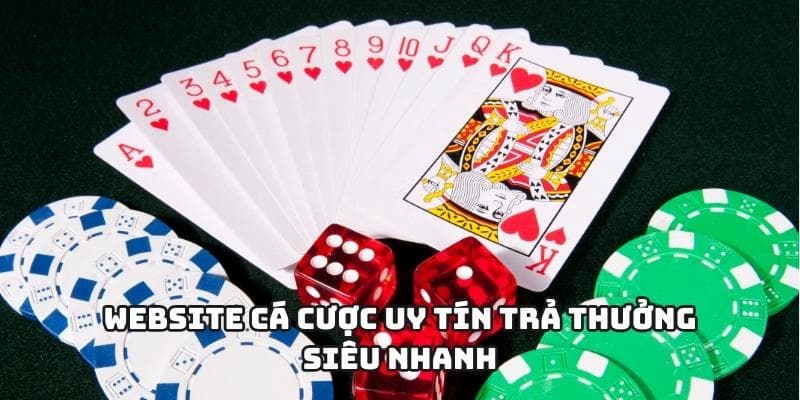Net88 uy tín không Đọc kỹ các điều khoản và điều kiện