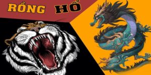 Rồng hổ Net88