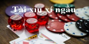 Cách chơi Xí Ngầu